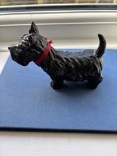 Scott terrier scottie for sale  MAIDSTONE