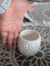 Succulent cactus pot for sale  BELFAST