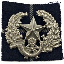 Ww2 cameronians regiment for sale  ORPINGTON