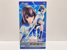 Boneco Dengeki Bunko FIGHTING CLIMAX Strike the Blood Yukina Himeragi HG SEGA comprar usado  Enviando para Brazil