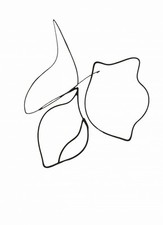Używany, Plakat 13x18cm Kreśla 2 Minimalistyczny , Wnętrza Styl Skandynawski, Boho na sprzedaż  PL