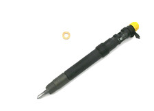 Injektor delphi embr00101d gebraucht kaufen  Rastatt