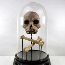 Skull cross bones for sale  Phoenix