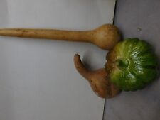 Decorative gourds preowned for sale  STANMORE