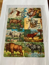 Alte blaten glanzbilder gebraucht kaufen  Beverstedt