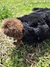 Tapete de urso com cabeça de pele sintética comprar usado  Enviando para Brazil