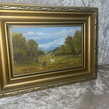 Wild pony oil for sale  LIVERPOOL