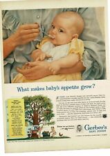1952 gerber baby for sale  Columbia