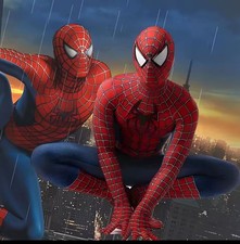 Costume spiderman vestito usato  San Marco Evangelista