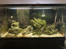 100 gallon salt for sale  Jupiter
