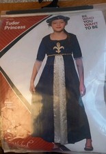 Wicked costumes tudor for sale  MANSFIELD