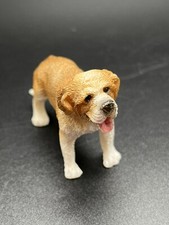 Saint bernard dog for sale  Williamsport