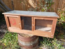 Guinea pig rabbit for sale  BROMLEY