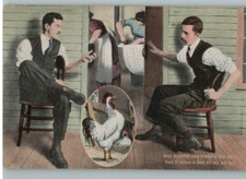 Vintage humorous postcard for sale  Accomac