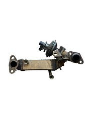 Scambiatore egr bmw usato  Pozzallo