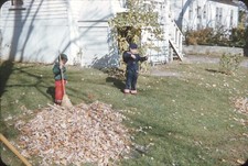 1950s boys helping for sale  Hiram
