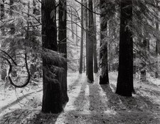 Vtg ansel adams for sale  Woodstock