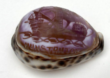 Antique carved cowrie for sale  NORWICH