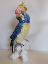 Perroquet cacatoes porcelaine d'occasion  Bergues