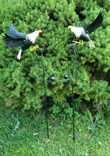 Set metal eagle for sale  Rudyard