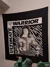 Bandiera banner ultimate usato Bandiera banner ultimate usato  Palermo