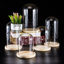 Glass dome display for sale  READING