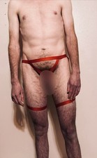 Mens red harnesss for sale  Hartland