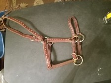Used leather halter for sale  Taylor