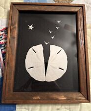 Sand dollar shadowbox for sale  Alton