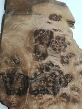 Burr walnut veneer for sale  Ireland