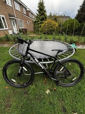 Tiger ace 275 for sale  COLCHESTER