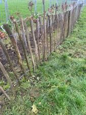 Chestnut pailing fencing for sale  CHELTENHAM