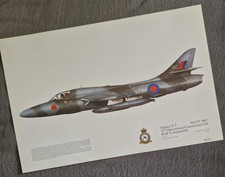 Squadron print hunter for sale Squadron print hunter for sale  DONCASTER