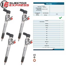 H8201100113 injektor einspritz gebraucht kaufen  Erkrath
