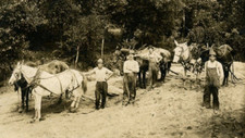 Original photograph men for sale  Chesterton