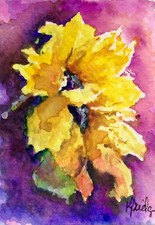 Aceo atc art for sale  Rocky Point
