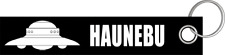 Haunebu flugscheibe ufo gebraucht kaufen  Halle