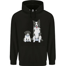 Border collie chiot d'occasion  Expédié en France