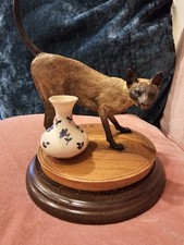 country artists animals for sale country artists animals for sale SUDBURY