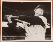 ted williams for sale ted williams for sale Birnamwood