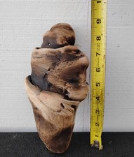 Bon fire pine for sale  Brookings