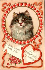 kittens valentines for sale kittens valentines for sale La Mesa