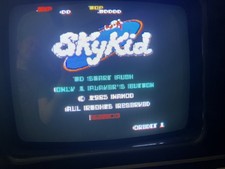 Sky kid pcb usato  Belluno
