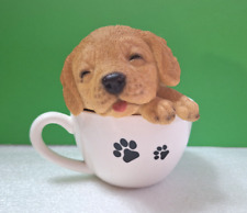 Dog golden retriever for sale  Lemon Grove