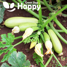 Vegetable seeds courgette for sale  DONCASTER