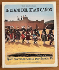 Indiani del gran usato  Milano