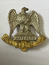 Royal scots greys for sale  BONNYRIGG