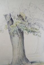 Original watercolour tree for sale  WIRRAL