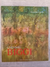 Gastone biggi incursions usato  Faenza