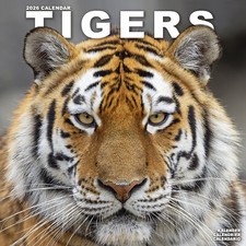 Calendário Tigers 2026 animal presente parede 15% OFF VÁRIOS PEDIDOS comprar usado  Enviando para Brazil